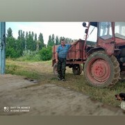  ,   , 55 ,   , 