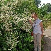 ���������� �����-���������, ���� ������� Marina, 59 ���, ������������ ��� ������, ����� � ���������