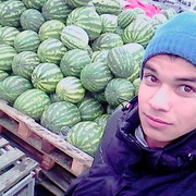 ���������� �����, ���� ������� ���������, 28 ���, ������������ ��� ������, ����� � ���������, c�������� ���������, ���������