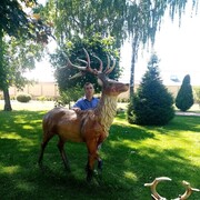 ���������� ������-���, ���� ������� ������, 48 ���, ������������ ��� ������, ����� � ���������, c�������� ���������