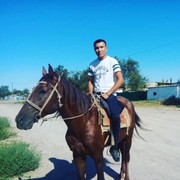  ,   Mara, 33 ,   ,   , c , 