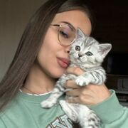 ���������� ���������, �����