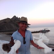  ,   , 43 ,     , c , 