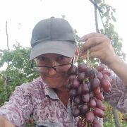  ,   , 57 ,   ,   , c , 