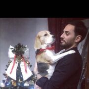 ���������� ������������, ���� ������� ����, 32 ����, ������������ ��� ������, ����� � ���������, c�������� ���������