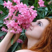 ���������� ������, ���� ������� �����, 48 ���, ������������ ��� ������, ����� � ���������, c�������� ���������