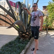 ���������� ������������, ���� ������� ˸���, 31 ���, ������������ ��� ������, ����� � ���������, c�������� ���������, ���������