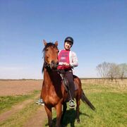 ���������� �����-���������, ���� ������� �����, 37 ���, ������������ ��� ������, ����� � ���������, c�������� ���������