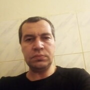   ,  , 43