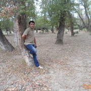  ,   Vusal, 39 ,  