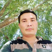  ,  , 37