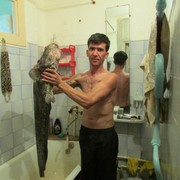 ���������� ����������, ���� ������� ��������, 47 ���, ������������ ��� ������, ����� � ���������, c�������� ���������