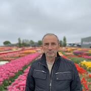  Aalsmeer,   , 62 ,   ,   , 