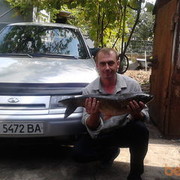 ���������� ������ ���, ���� ������� MIF, 52 ����, ������������ ��� ������