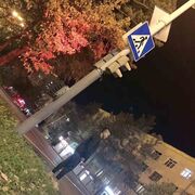 ���������� ������, ���� ������� ����, 28 ���, ������������ ��� ������, ����� � ���������