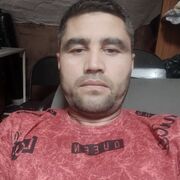 ���������� ��������, ���� ������� �����, 43 ����, ������������ ��� ������, ����� � ���������