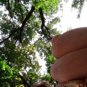  --,   , 62 ,   ,   , c 