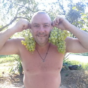  ,   , 54 ,   