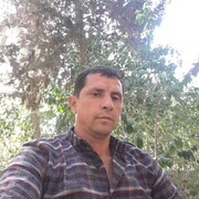  ,  Bolk, 42