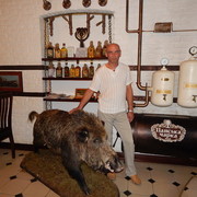   ,   , 55 ,  