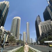 ���������� ����������, ���� ������� ������, 33 ����, ������������ ��� ������, ����� � ���������