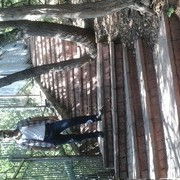  ,   , 39 ,   