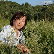 ���������� ������, ���� ������� ����, 53 ����, ������������ ��� c�������� ���������, ���������