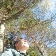 ���������� �����, ���� ������� ������, 53 ����, ������������ ��� ������, ����� � ���������, c�������� ���������