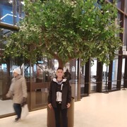 ���������� �������, ���� ������� ������, 43 ����, ������������ ��� ������, ����� � ���������, c�������� ���������