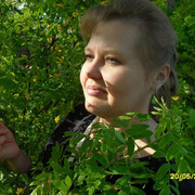  ,   , 55 ,     , c 