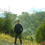  -,   , 55 ,   ,   , c 