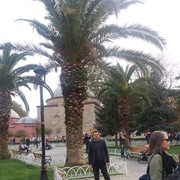  ,   , 41 ,   ,   , c , 