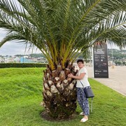  ,   , 65 ,   c 