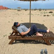 ���������� ���������, ���� ������� ����������, 37 ���, ������������ ��� ������, ����� � ���������