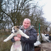 ���������� ������, ���� ������� GUNN, 61 ���, ������������ ��� ������