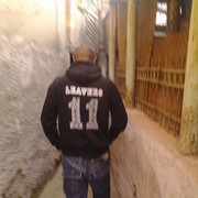 ���������� �������, ���� ������� ��� ���, 31 ���, ������������ ��� ������