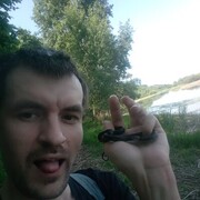 ���������� ������, ���� ������� ��������, 38 ���, ������������ ��� ����� � ���������, c�������� ���������, ���������