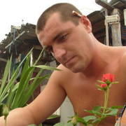  ,    , 43 ,   