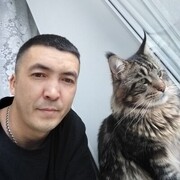  ,   , 41 ,   ,   