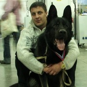 ���������� ���������, ���� ������� ��������, 43 ����, ������������ ��� ����� � ���������, c�������� ���������