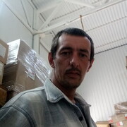  -,   , 36 ,   ,   