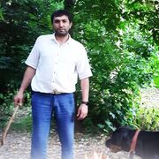  ,   , 43 ,   ,   