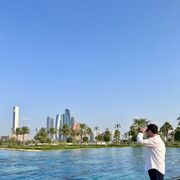 ���������� �������, ���� ������� ��������, 33 ����, ������������ ��� ������, ����� � ���������, c�������� ���������