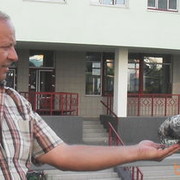  ,   , 57 ,     , c 
