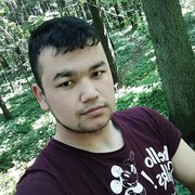  ,   Fazik, 31 ,   ,   , c 