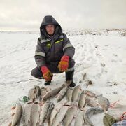 ���������� ������, ���� ������� ������, 37 ���, ������������ ��� ������, ����� � ���������, c�������� ���������