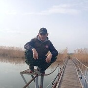  ,    , 41 ,  
