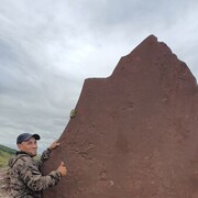 ���������� ����������, ���� ������� �������, 44 ����, ������������ ��� ������, ����� � ���������, c�������� ���������, ���������