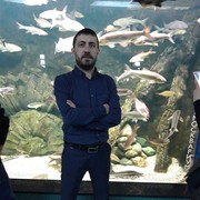 ���������� ����������, ������� Zorik, 45