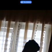 ���������� �����-���������, ���� ����� ������, 22 ����, ������������ ��� ������, ����� � ���������